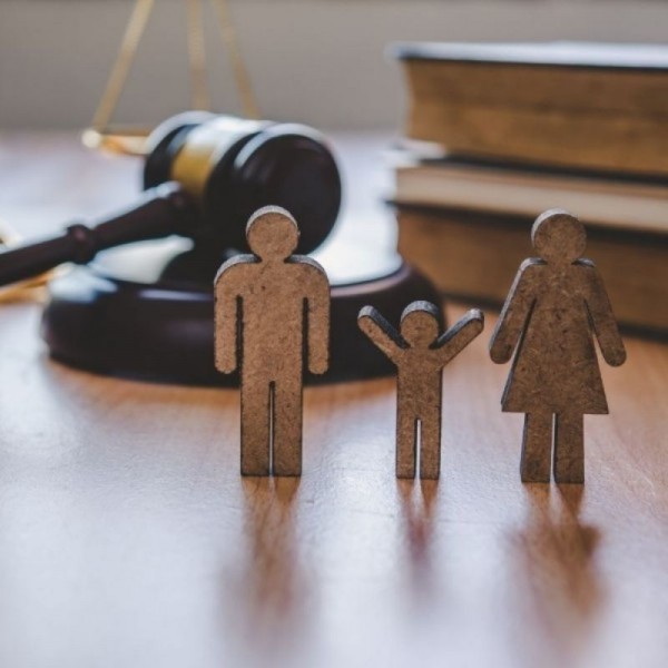 Aile ( Boşanma ve Diğer Aile Hukuku) Davaları 1